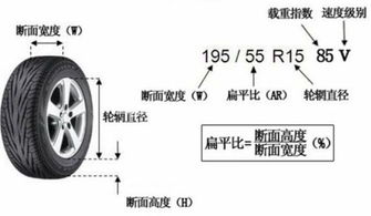 汽车静力半径多少合适